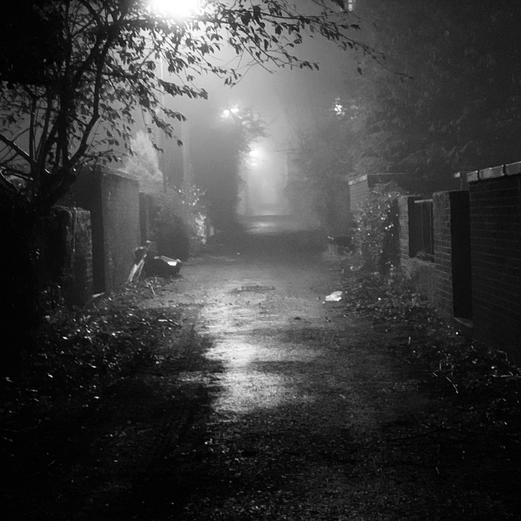 misty in bin lane at night. Broomhill Glasgow. 