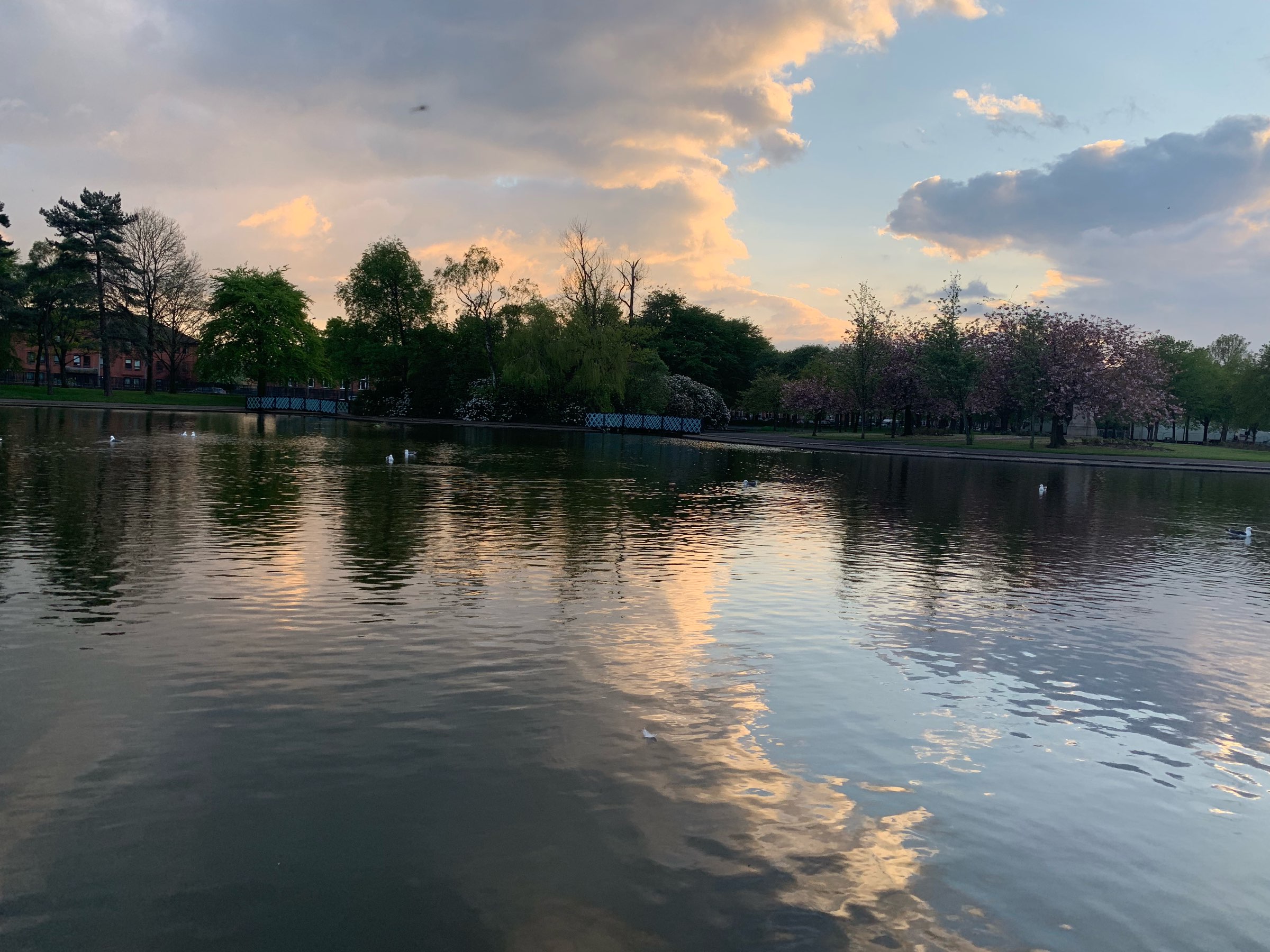 Victoria Park Pond