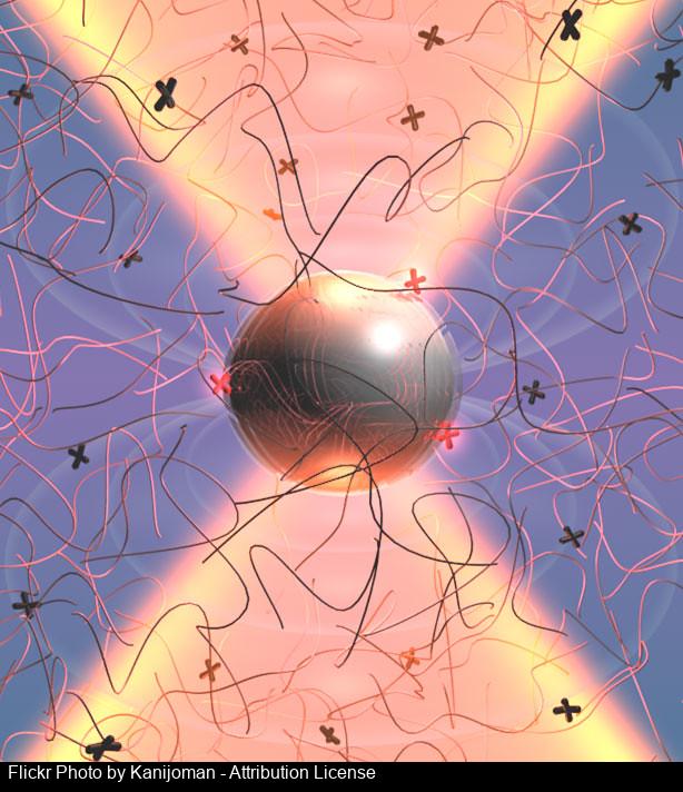 Imágenes integradas 1