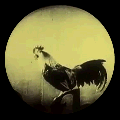 Pathe-News-Rooster-1933 01