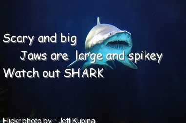 shark_touch_poem