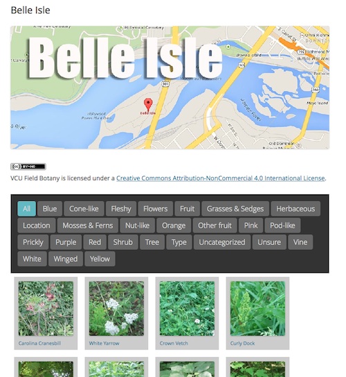 Belle Isle