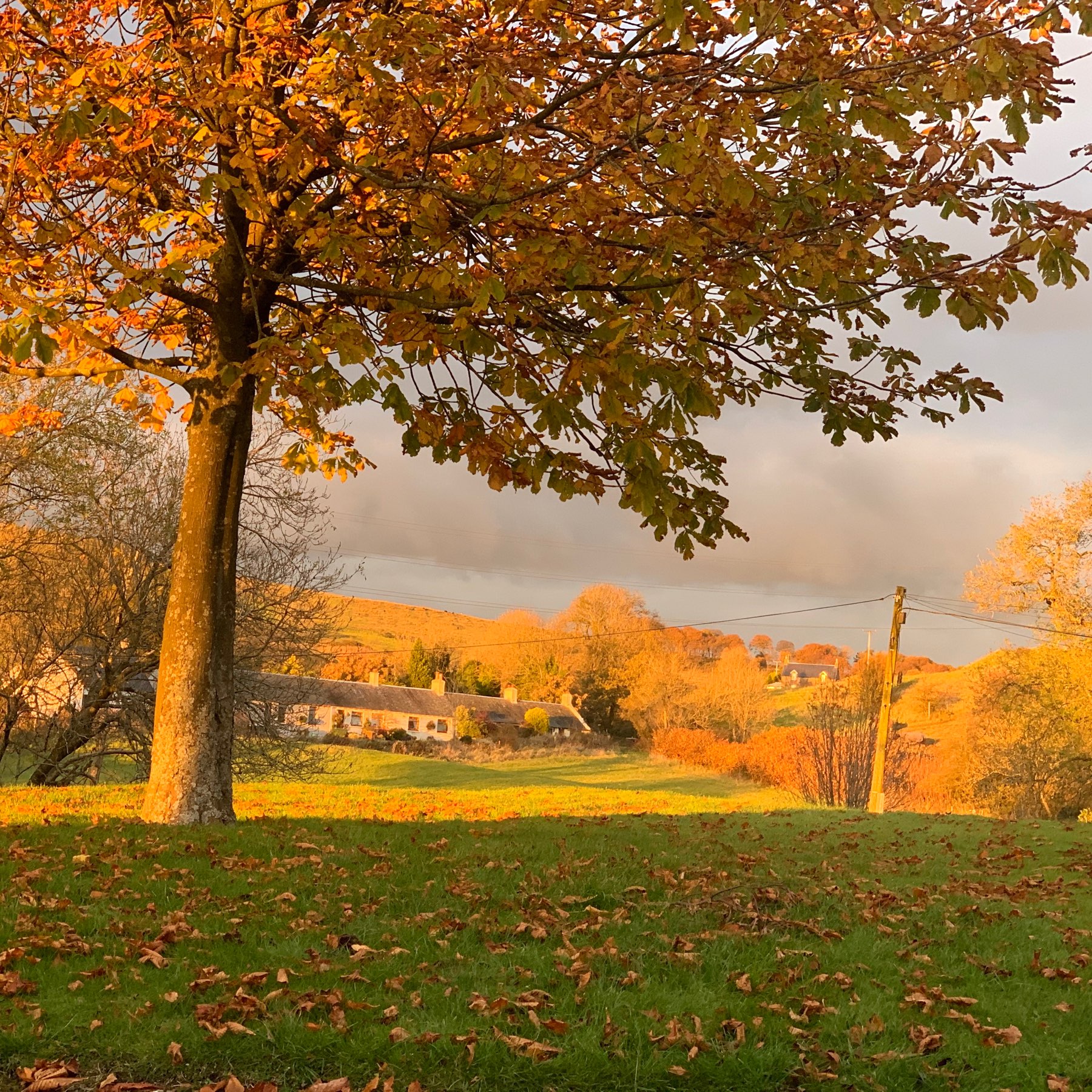 Late Afternoon Autumn