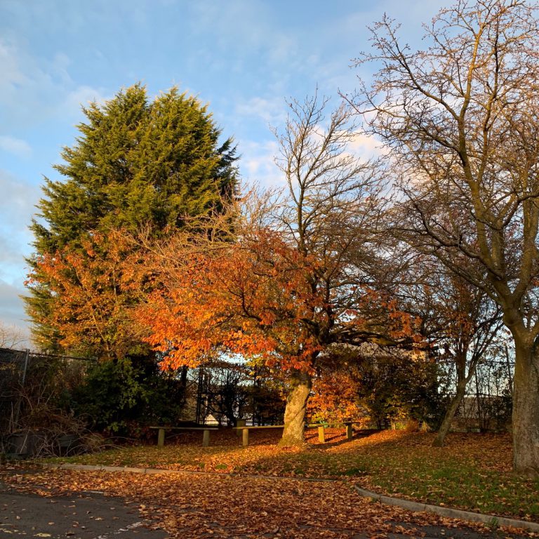 Leaving school on an autumn afternoon