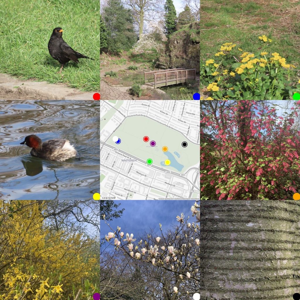 Victoria Park 8 Apr 2020