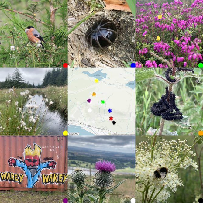 map surrounded by pictures taken on walk. Flora & Fauna