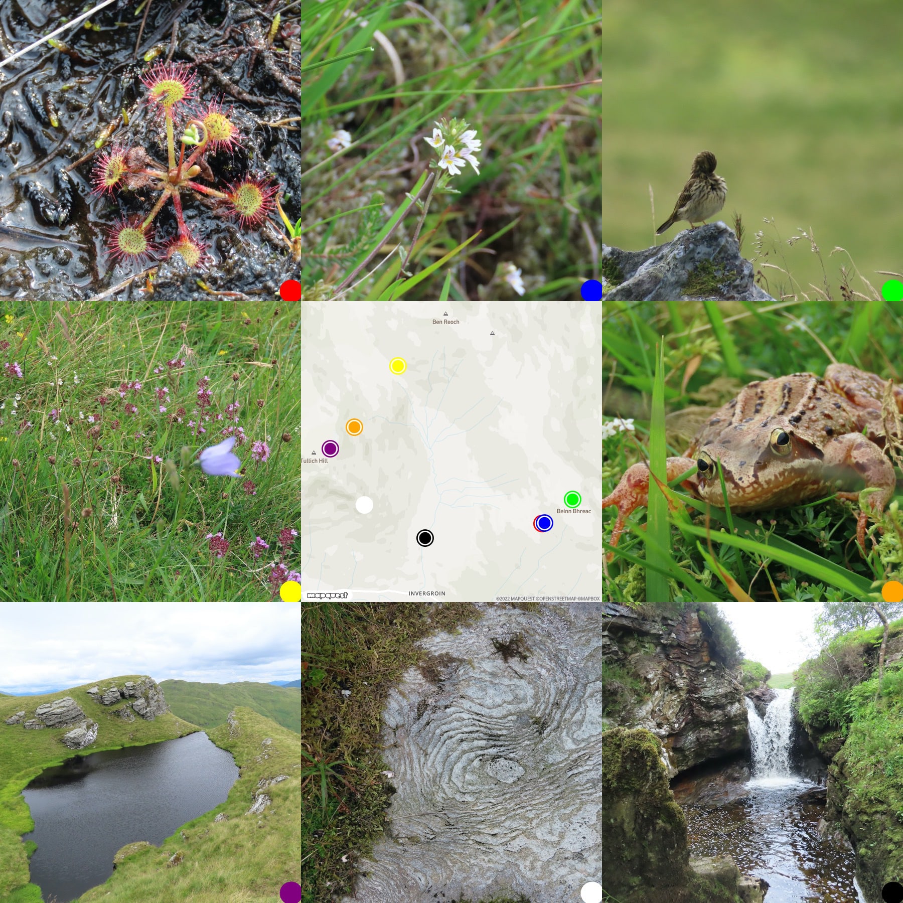 Montage. Grid of pictures round a map: Sundew, eyebright, meadow pippet, thyme, map, toad,pool,rock, waterfall.