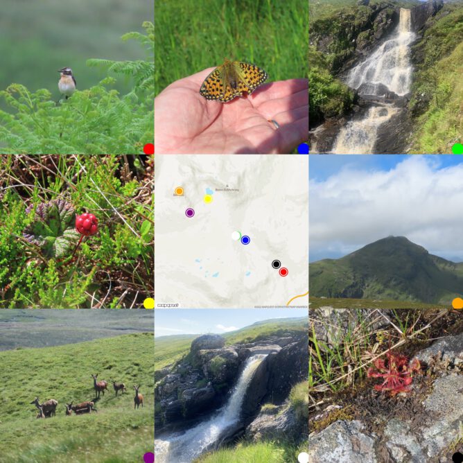 Grid of 8 photos round a map of where they were taken: Wheatear, Dark Green Fritillary, waterfall, cloudberry,map, Ben Lui from Ben Oss, red deer, waterfall & sundew