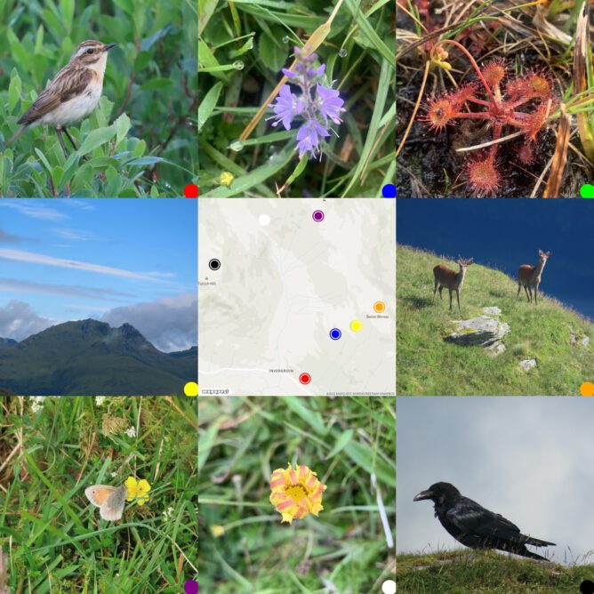 gird of 9 8 images taken on a walk around the map of where they were taken. flora, fauna & view