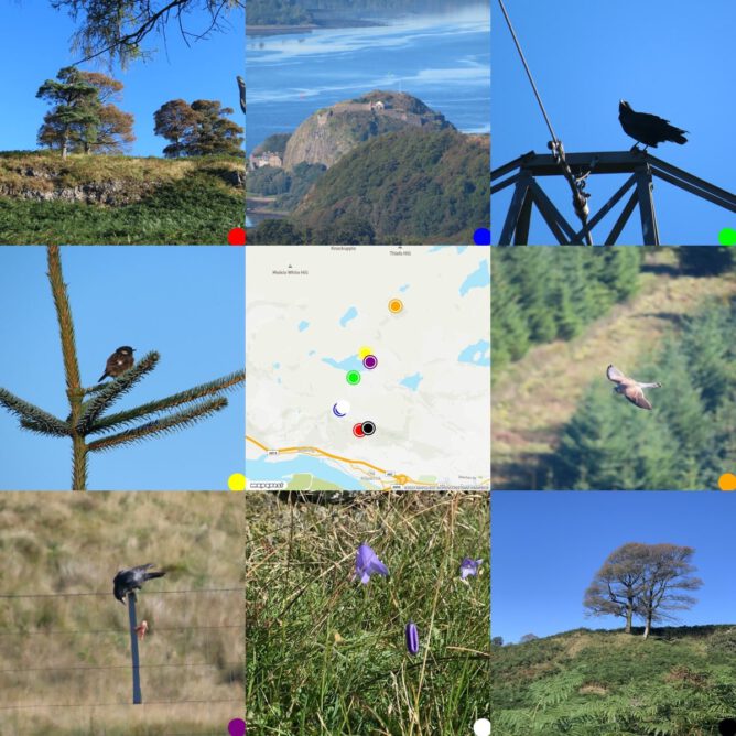 grid of photos round the map where they were taken. Autumn trees, Dumbarton Rock, Raven, reed bunting, map, kestrel, crow on a fence, hare bells, autumn trees.