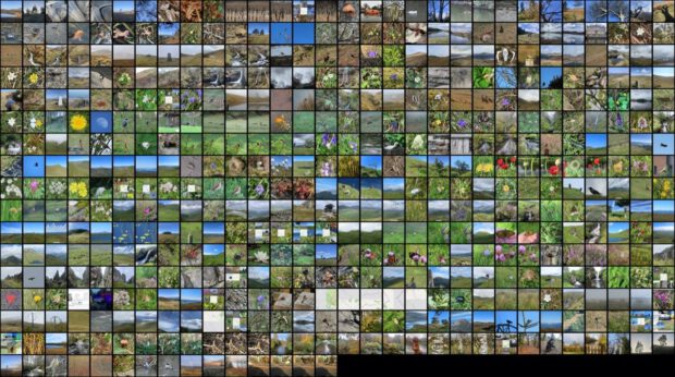 montage of 495 flickr thumbnails
