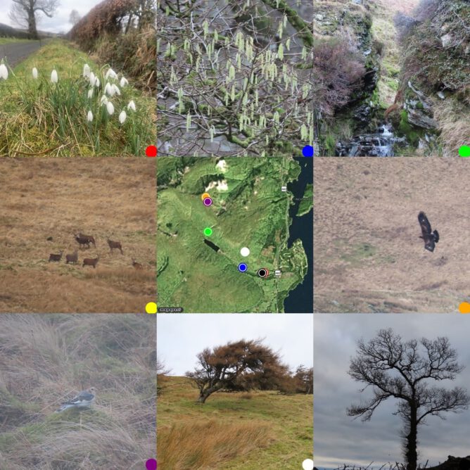 Grid of photos round a map of where they were taken in Glen Finlas. Snodrops, Hazel Catkins, a wee burn, red deer, eagle, snow bunting, wind blown larch tree, oak tree.