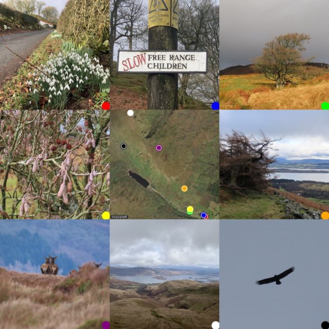Grid of photos around a satellite image of where they were taken. Snowdrops, children crossing road sign, alder tree, alder cones ,map, twisted larch loch lomond in background, red deer, Loch Lomond from hills, eagle.