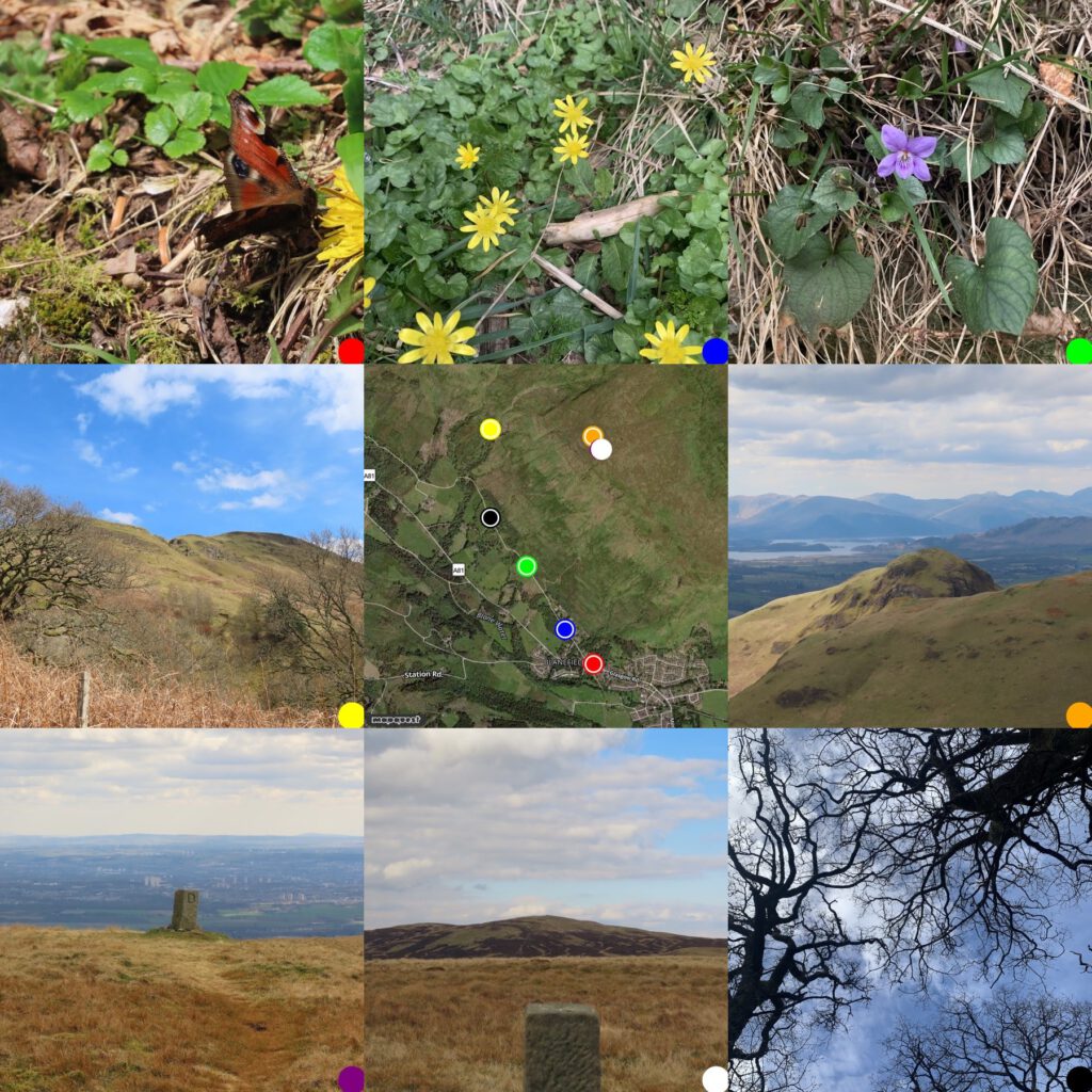 grid of photos around a map of there they were taken. From Topleft: peacock butterfly; lesser celandine; violet; Slackdhu; map; view from Slackdhu toward loch Lomond; View from Slackdhu to Glasgow; View from Slackdhu to Earl's seat; Oak trees from below, branches sill bare.