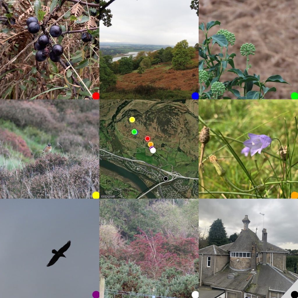 3x3 grid montage. 8 photos surrounding a map of where they were taken. From Top Left: Sloes; view over woods down Clyde estuary; ivy seed heads; stonechat; map; harebell; raven; hawthorn bush; old house from back