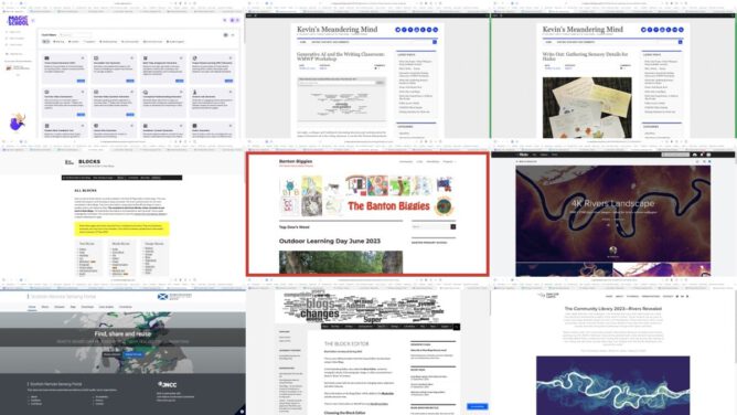 Montage of screenshots of some webpages discussed in article