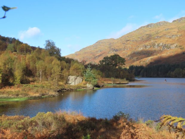 A small bay in Loch Katrine. Birtch trees on the far side an large hill behind.