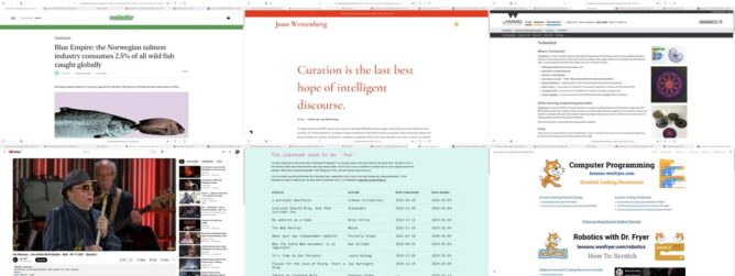 montage of 6 webpage screenshots: https://ecohustler.com/technology/blue-empire-the-norwegian-salmon-industry-consumes-25percent-of-all-wild-fish-caught-globally https://joanwestenberg.com/blog/curation-is-the-last-best-hope-of-intelligent-discourse https://warwick.ac.uk/fac/sci/wmg/about/outreach/resources/turtlestitch/ https://www.youtube.com/watch?v=a3jrgYnljYI https://projects.kwon.nyc/internet-is-fun/ https://lessons.wesfryer.com/courses/coding/scratch-coding