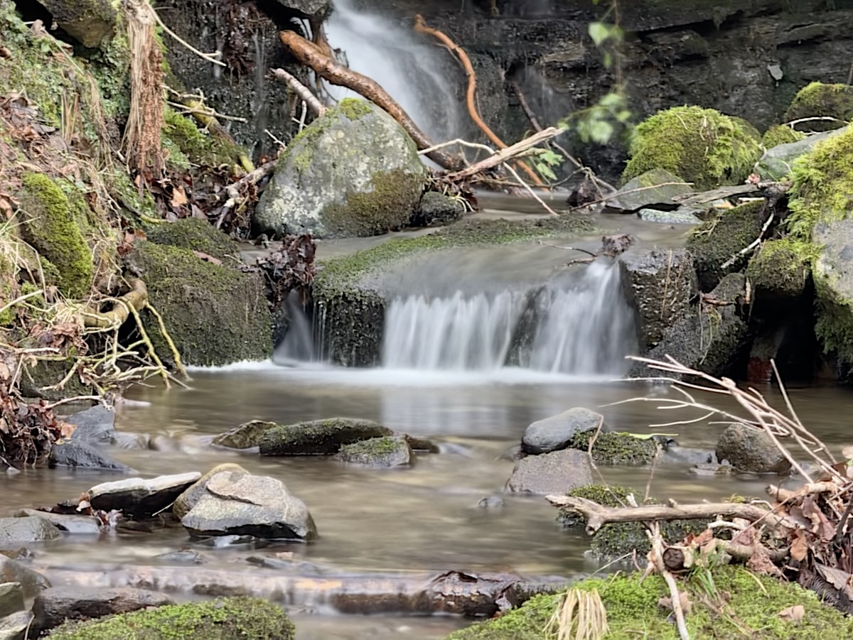 A long exposure shot of a tiny burn, small waterfall, mossy rocks, sticks, 