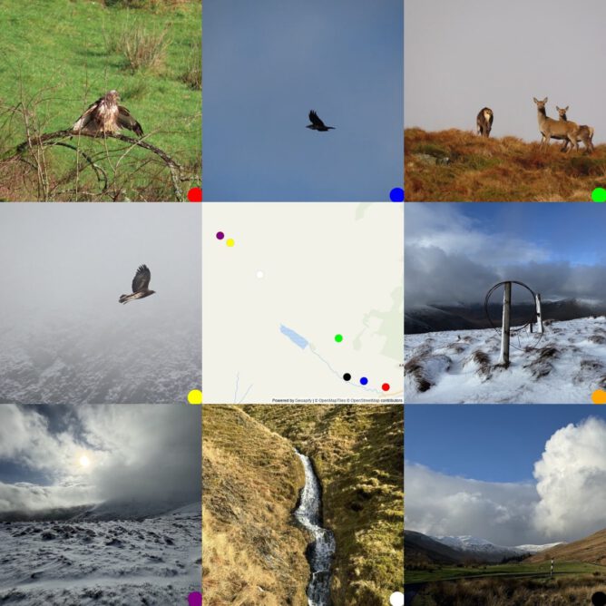A 3x3 grid 8 photos surrounding a map of where they were taken: Buzzard, rave, red deer,eagle, map, snow landscape,snow landscape, waterfall & cloud