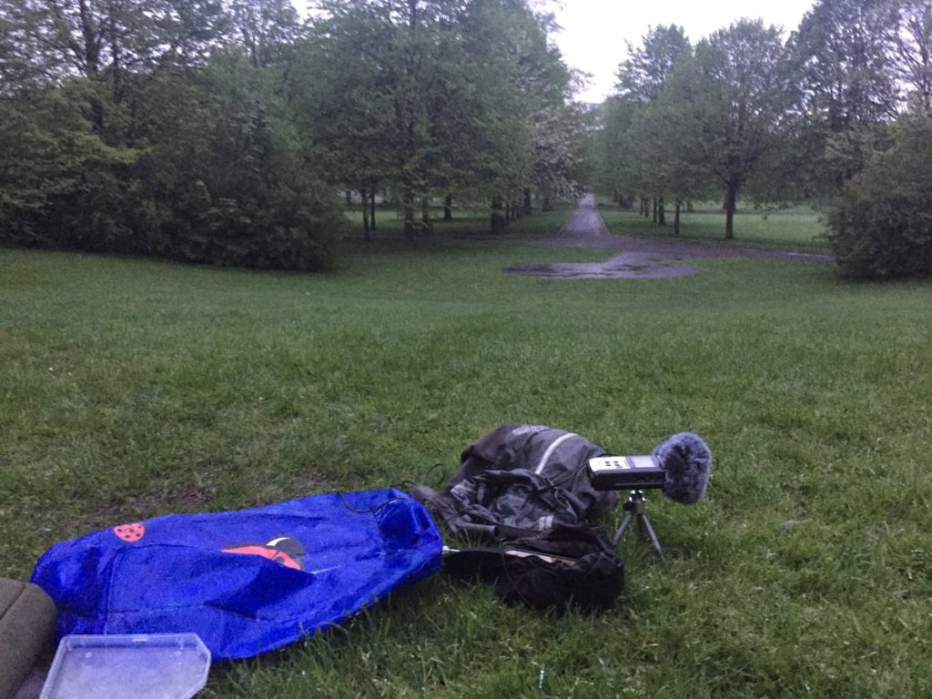 Dawn view, audio set up with park in background. A path through an avenue of trees.