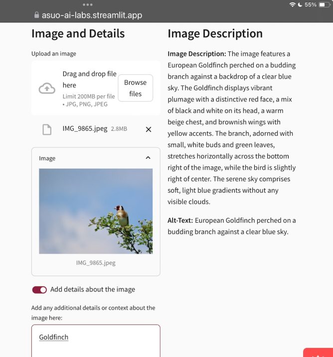 Webpage with description and image of a European Goldfinch on a branch against a blue sky.
