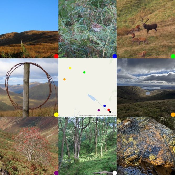 A composite image in a 3x3 grid showing various natural scenes, including hills, a reed bunting in bracken, deer on a hillside, a loop of fence wire hanging on a post, the map where the photos were taken, looking down to Finlas Reservoir, a rowan tree with red berries, woods, trees and moss, and water flow over rocks.