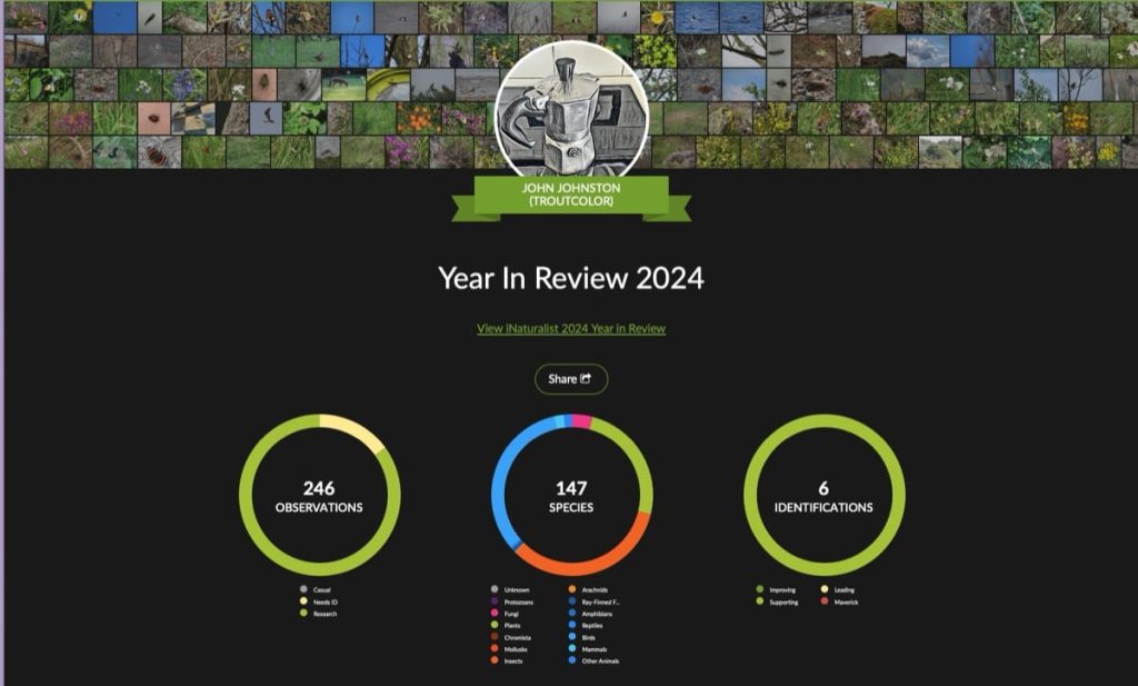 Screenshot of my inaturalist stats page. 246 OBSERVATIONS of 147 SPECIES