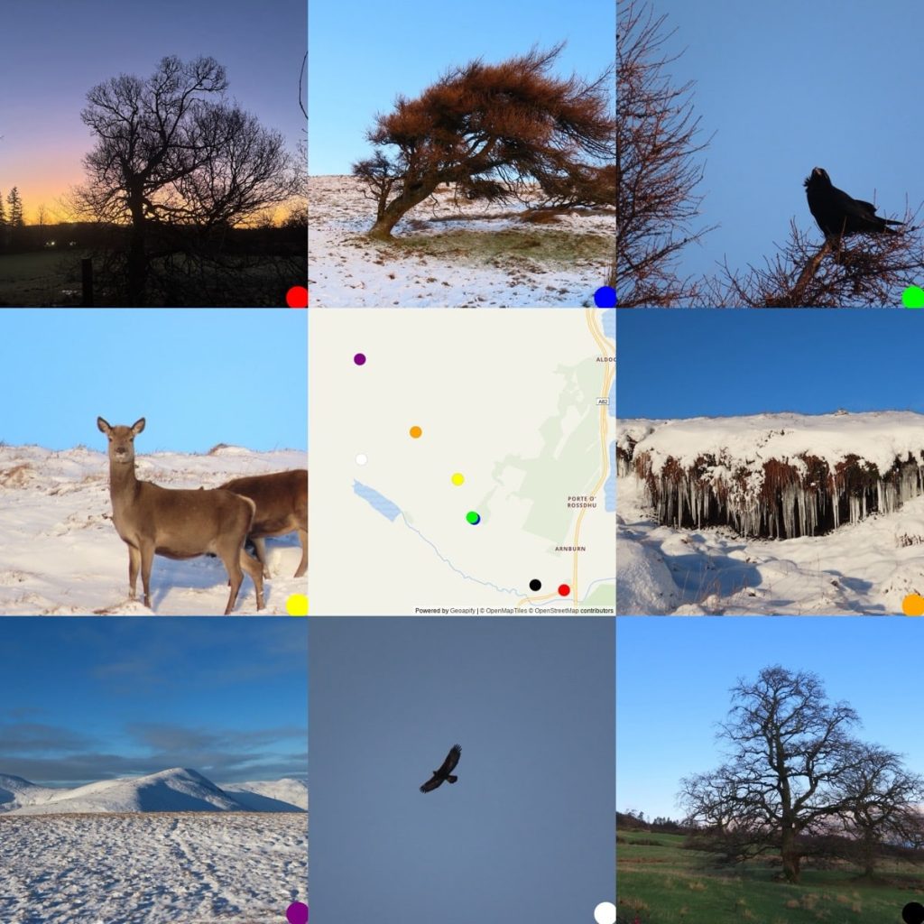 A 3x3 grid of nature photos around Finlas Water, featuring trees, a deer, birds, snow landscapes, and a map.