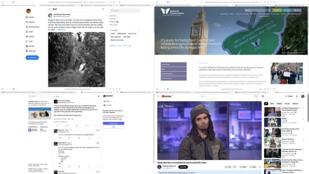 Montage of 4 webpages linked in post: