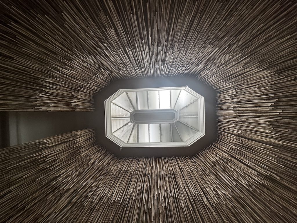 connected russhes in a circualr curtain, looking up towards the skylight