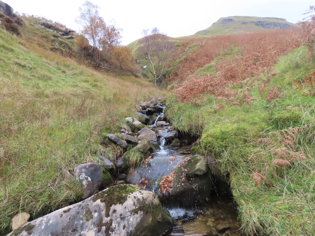 A small burn flows through a grassy valley with moss-covered rocks and autumn-coloured foliage.