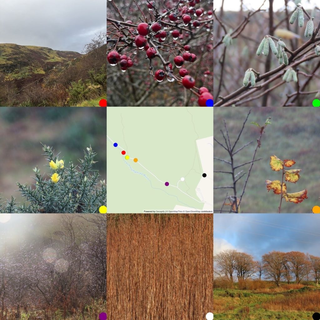 A montage of nature photos surrounding a coloured-dot location map. From topleft: Loch Humphrey burn; Hawthorn shiny with rain; hazel catkins; gorse; map; yellow leaves hanging on; rain on a tangle of thorn branches, sunlight shining through; dried stalks of rose-bay-willow herb; beech trees