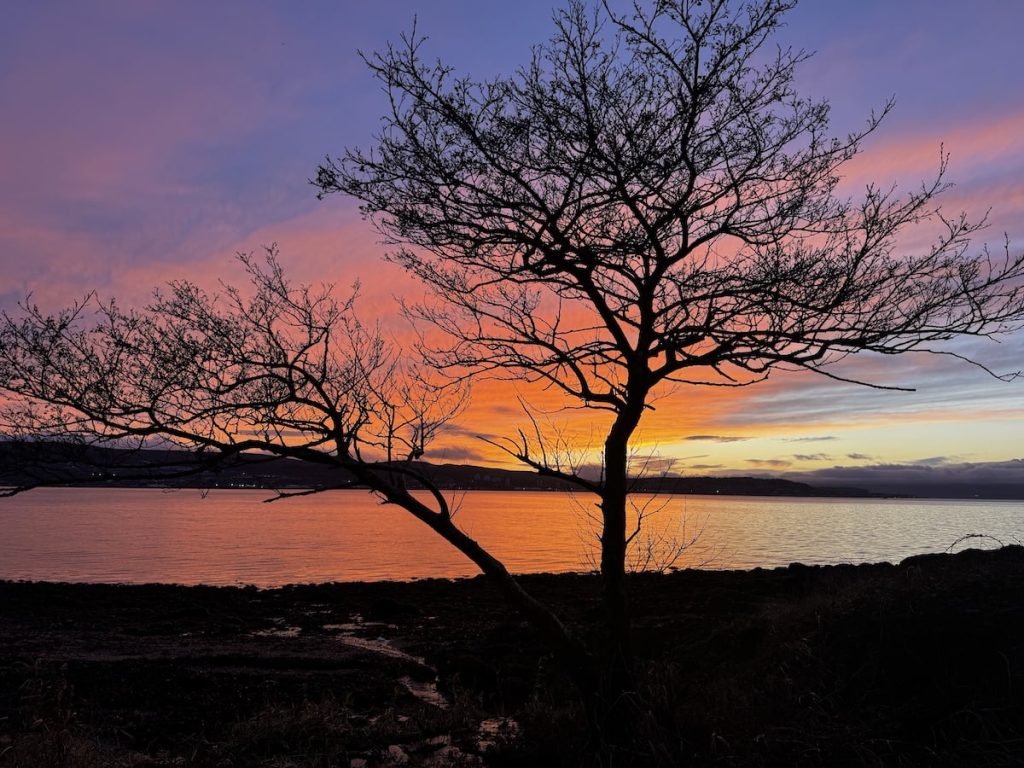 Silhouetted tree against a colorful sunset over water.
