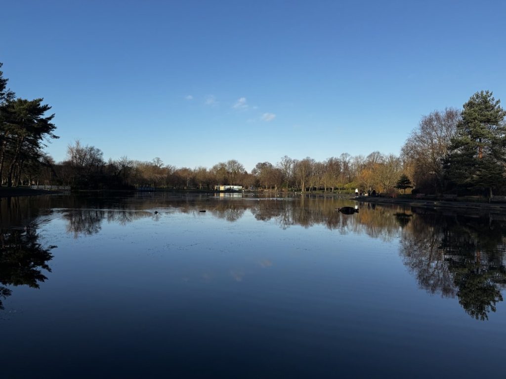 Victoria park pond reflecting the clear sky and bare trees along its edge.