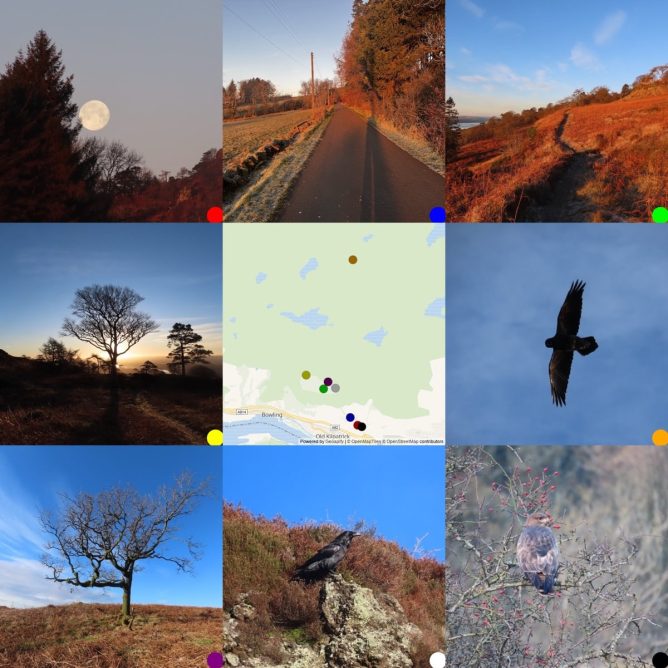 3x3 grid of images, photos with a map in the centre. From topleft: The moon setting behind some trees, a sun lit orad, a sunling path trough bracken, a winter tree with the rising sun behind, the map, a raven wings outspread agaist a blue sky, an oak tree, a ranve perched on a rock, a buzzard in a hawthorn tree.