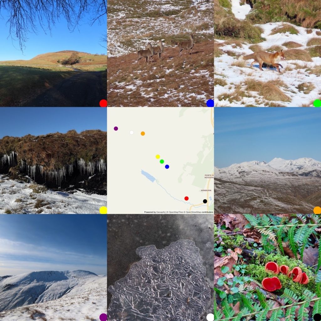 3x3 montage frontop left: hill and blue sky;3 red deer;fox running acorsss snowy ground;icicles, map where photos were taken, snowy hills; snowy hills; ice on a puddle, elf cap fungi on mossy branch.