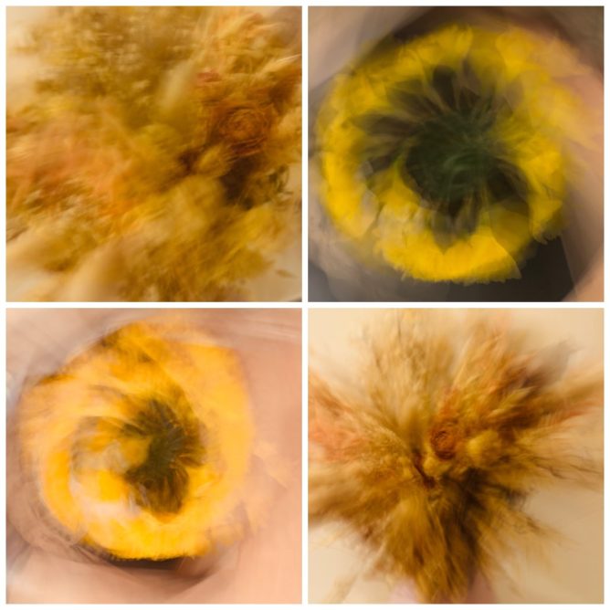 grid of four abstract images of flowers with swirling blurs of yellow, orange, and brown, created by deliberate camera movements