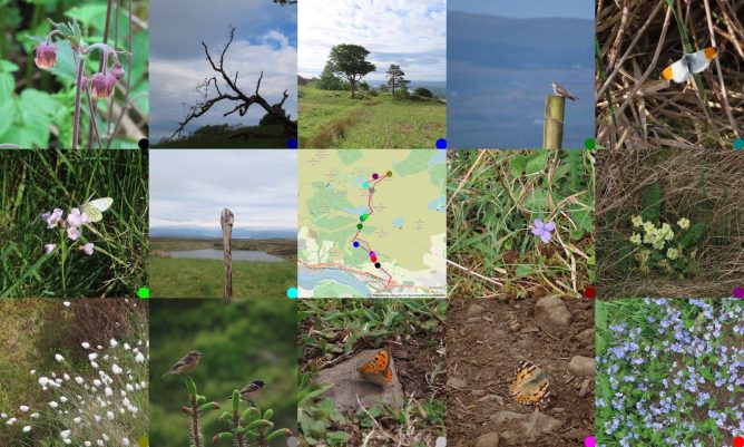 %x3 grid, 14 photos round a map where they were taken. From Top Left: Water Avens, bare tree branches in silhouette, looking back to wards Glasgow; a cuckoo on a post; orange tip butterfly, male with wings outspread; Green-veined white on cuckoo flower. Post with a loch behind; MAP; violet flower; primroses; bog cotton; two stonechats; small copper butterfly; painted lady butterfly; speedwell flowers.