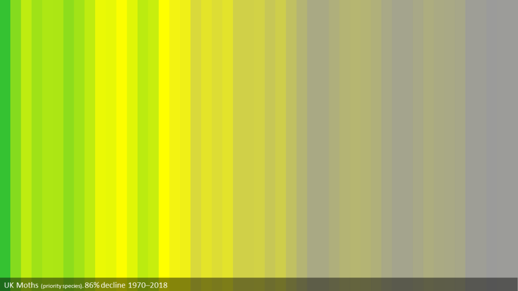 An image showing the decline, 86%,  in British moths from 1970 to 2018  The highest level of biodiversity is coloured bright green. Lower levels move through yellow to grey, depending upon the level of decline. Darker greys appear with greater declines.
