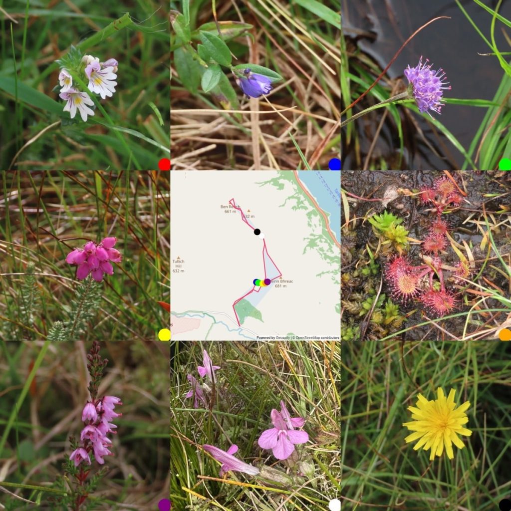 A 3x3 grig of images, 8 wildflowers round a maps showing where they were taken. From topleft: Eyebright, milkwort, devil's bit scabious, bog heather, map, round leafed sundew, ling, lousewort, hawkbit (or something like it)