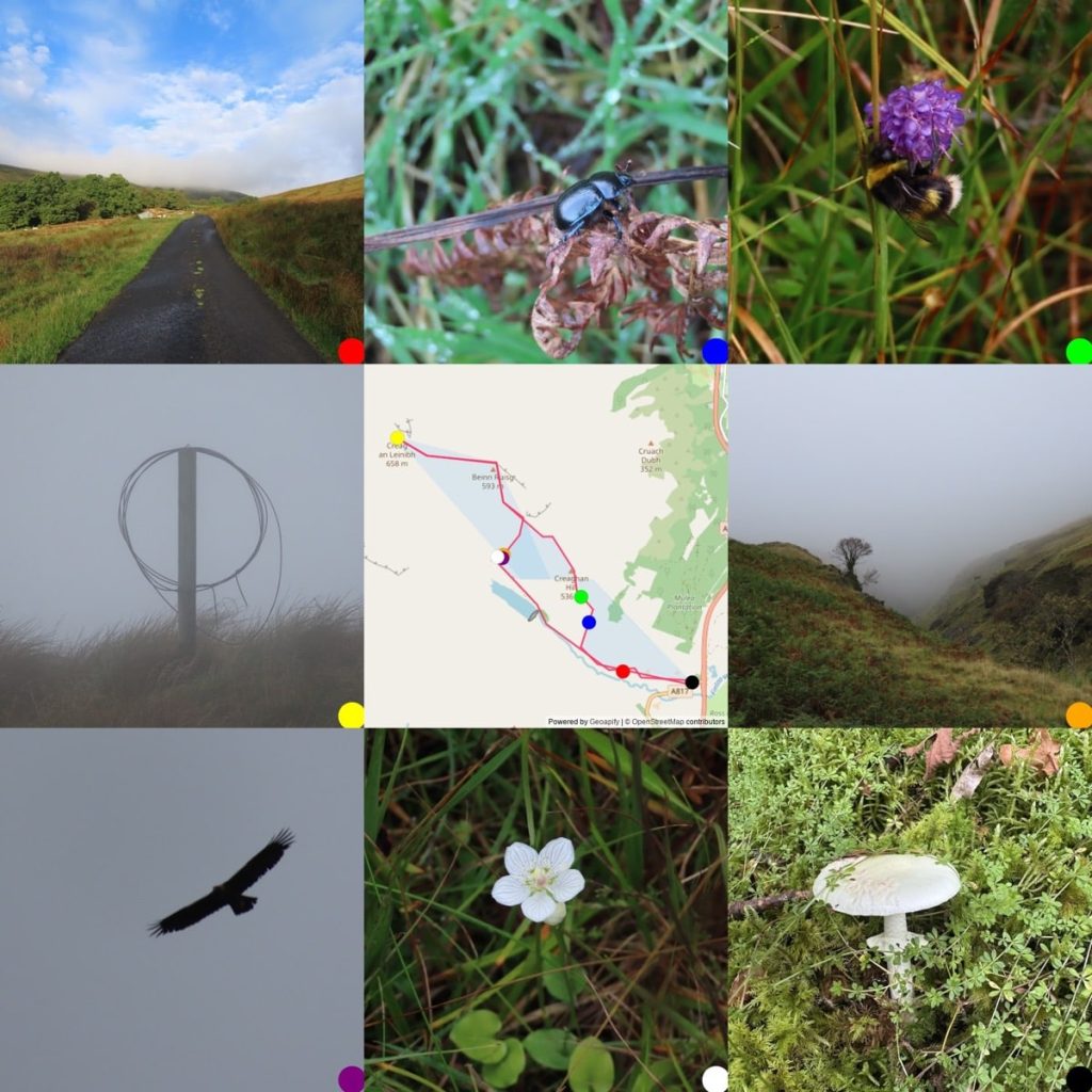 3x3 grid of images, photos round a map where they were taken. From Top Left: Road to Finlas water, singlet rack, grass on each side; Dor Better on Bracken, shiney black bettle; Buff tailed bumble bee on Devils Bit Scabious; Fence post with a loop of fence wire, grey background due to low clouds/mist; Map trac round Finlas water in red. A small tree in a misty landscape; An eagle, wings outstretched in silhouette; Grass-of-Parnassus flow; small whilre mushroom with slender stalk and veil. growing in moss